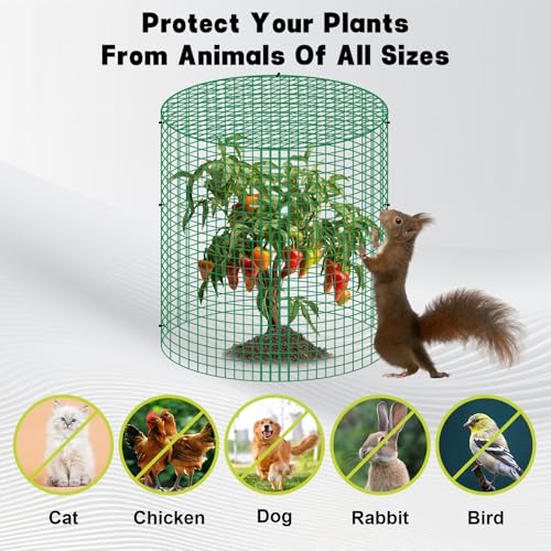 6 Sets 13"x 16" Wire Plant Protector from Animals, Plant Protector Cages - color: Green-6pcs