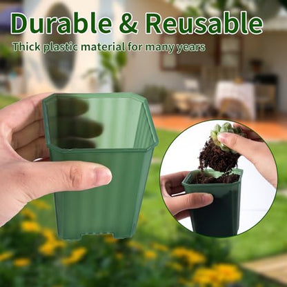 30Pcs 3 Inch Transparent Green Nursery Pots with Saucers, Square Plant Pot - color: Transparent Green
