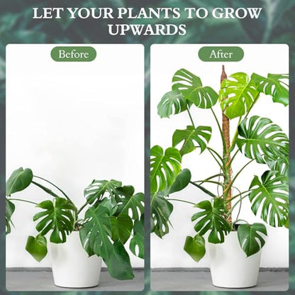 2 Pack 24 Inch Coco Coir Moss Poles for Climbing Indoor Plants - Handmade Plant Support for Creepers to Grow Upwards