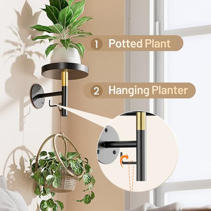 YUOROS 3 Pack Wall Plant Holder Wall Planters for Indoor Plants (Black) - color: Black