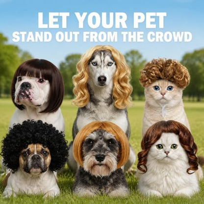 6 Pack Funny Cat and Dog Wig - color: Brown and Black