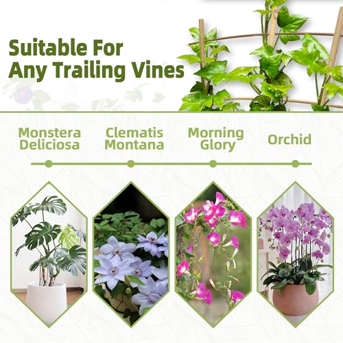 10 Pack 16" Bamboo Trellis for Climbing Plants, Fan-Shaped Plant Support - size: 16 Inch