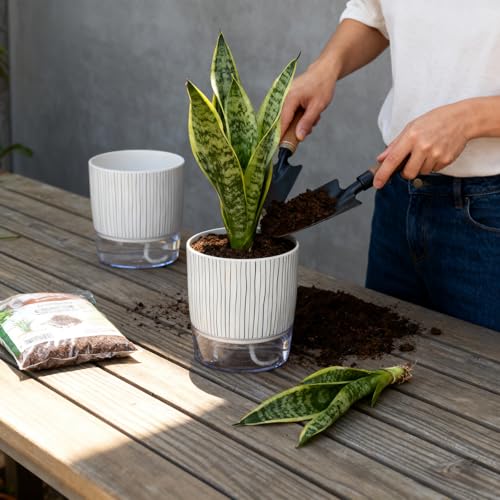 3 Pack Self Watering Pots for Indoor Plants, 5.5 Inch Plant Pots - color: Medium, 3pcs Black Stripes