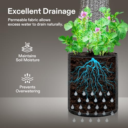 VIVOSUN 10-Pack 2 Gallon Grow Bags, Fabric Pots with Self-Adhesion Sides for Transplanting - size: 2 gallon (Pack of 2)