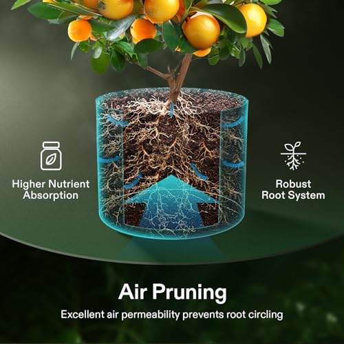 VIVOSUN 5-Pack 1 Gallon Grow Bags with Self-Adhesive Side for Transplanting - size: 1 gallon