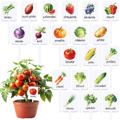 Whaline 20Pcs Acrylic Vegetable Fruit Plant Label Signs Garden Markers 20 Styles Watercolor Vegetable Fruit Waterproof Potted Plant Stake Tags with Names for Nursery Indoor Outdoor Garden Decor - color: White