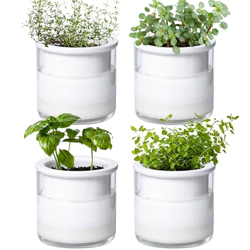 Phoenix Vine 4 Inch Self Watering Planter Pot, Design White Terracotta Pots for Plants, Indoor Cylinder Terra Cotta Pots with Glass Vase, Set of 4, 51-B-E-4 - color: White, size: 4" (4 Pack)