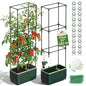2 Pack 51" Self Watering Planter Box with Trellis, Tomato Planter Trellis for Raised Garden Bed, Tomato Cage with Visual Water Indicator, Indoor Outdoor Tomato Cages for Garden Patio - style: 2 Pack