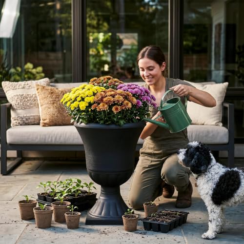 Worth 22'' Tall Urn Planters for Outdoor Plants Set of 2, Large Flower Pots - color: Black