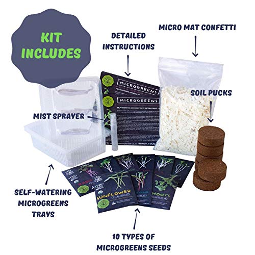 Mountain Valley Seed Co Self-Watering Indoor Microgreen Kit Soil Hydroponic - size: Combo
