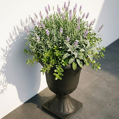 Worth 22'' Tall Urn Planters for Outdoor Plants Set of 2, Large Flower Pots - color: Black