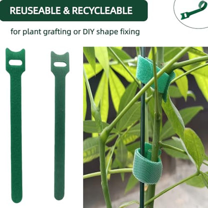 100Pcs 8-Inch Green Nylon Adjustable Plant Ties & Cable Straps - size: 8 in x 0.5 in