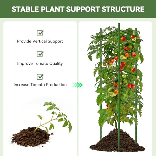 Halatool 2 Pack Tomato Cages for Garden, Up to 48in (4FT) Trellis - color: 2 Pack, size: 48 Inches