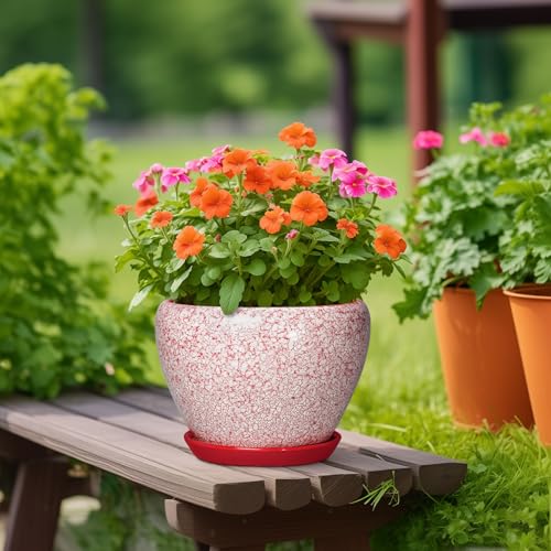 10 Inch Pots for Plants, Ceramic Planter Pots, Crackle Red - color: Crackle Red, size: 10 Inch