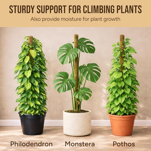 Craft911 29" Moss Pole Monstera Plant Support, Indoor Plant Stakes - size: 2-Pack (29 in)