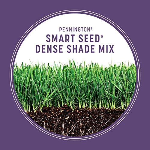 Pennington Smart Seed Dense Shade Mix Grass Seeds for Lawn, 7 Lb - size: 7 LB