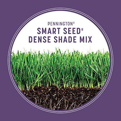 Pennington Smart Seed Dense Shade Mix Grass Seeds for Lawn, 3 Lb - size: 3 LB