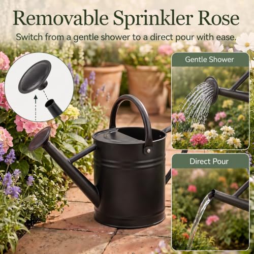 1 Gallon Metal Watering Can for Indoor Outdoor Plants, Classic Black