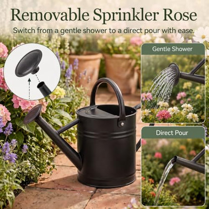 1 Gallon Metal Watering Can for Indoor Outdoor Plants, Classic Black