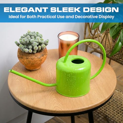 Plexon Long Spout Watering Can Indoor Plants, 40 oz Small Watering Can Pot Metal for Garden Flowers House Plants Mini, Powder Coated,Gift for Mom Girlfriend Daughter, Green - color: Green, 40 Oz