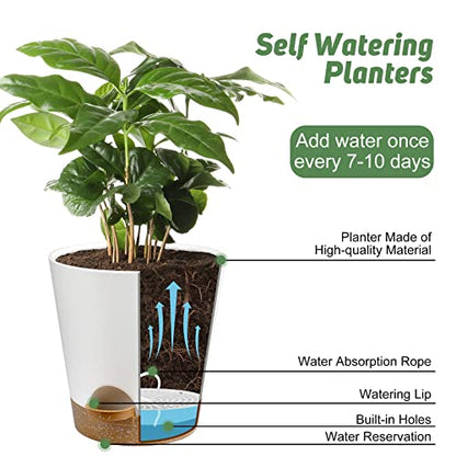 YNNICO Indoor Self Watering Planters with Drainage Holes and Saucers, 8, 7, 6.5, 6, 5.5, 5 Inches, White, 6 Pots (Pack of 2) - color: White, size: 8+7+6.5+6+5.5+5 inch (Pack of 2)