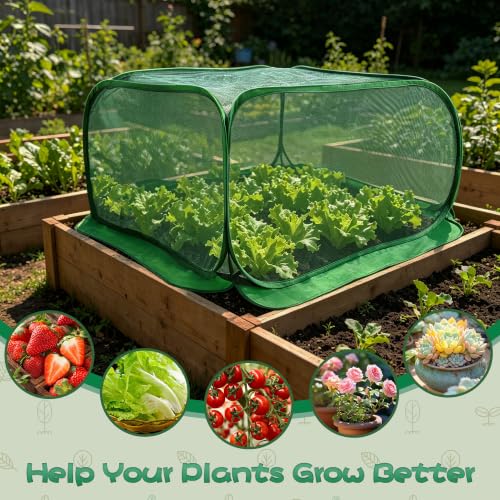 Pop Up Plant Netting Cover 40×40×20” Shade Mesh Cage Shade Top + Mesh Side - size: 100*100*50 1PCS