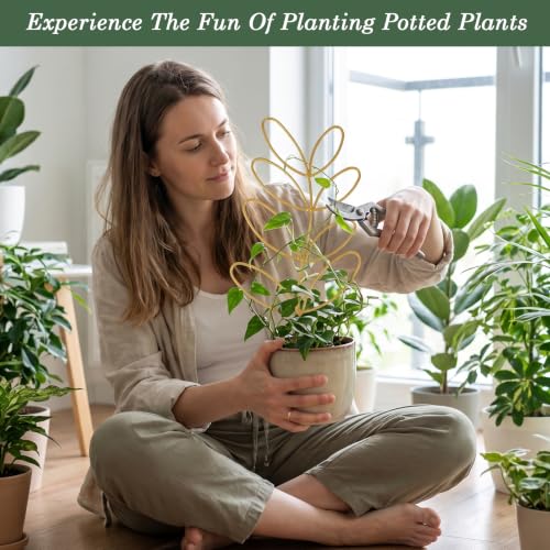 12.2 Inch Small Trellis for Potted Plants Indoor Plant Trellis