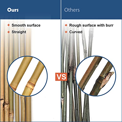 COLOtime Bamboo Stakes 6FT Garden Stakes Plant Poles for Outdoor 20 Pack - size: 6ft, 20 Pack