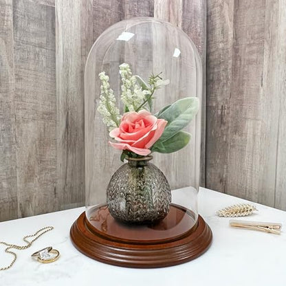 Plymor 5.5" x 10" Glass Display Dome Cloche (Walnut Veneer Base) - color: Walnut Veneer Base