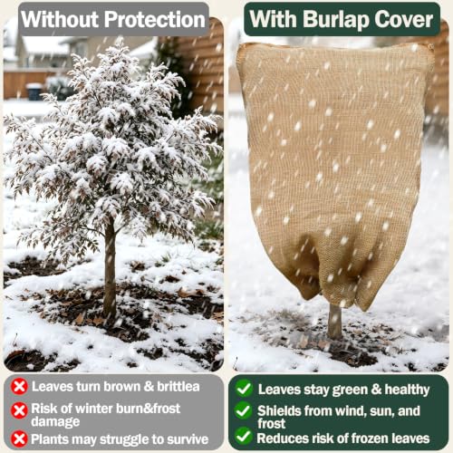 2-Pack Burlap Fabric Plant Bags - 32 X 40 Inch Winter Plant Cover Freeze Protection, Reusable Burlap Sacks Plant Frost Cloth for Outdoor Plants, Cold Weather Tree Wrap for Trees, Bushes & Garden - size: 32*40inch-2Pack