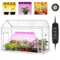 Mini Indoor Greenhouse with Grow Lights & Timer 3 Light Color Mode