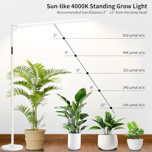 STERREN LED Grow Lights, Plant Floor Lamp for Indoor Growing - color: White