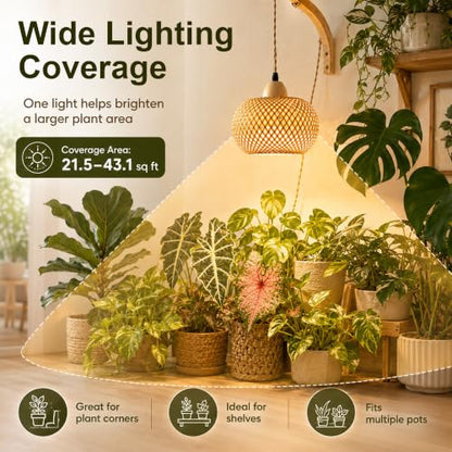 Wall Mounted Grow Lights for Indoor Plants with Timer, Hanging Light