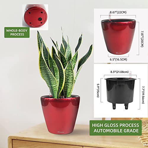 Dexceder 9x8 Self Watering Planter (Red High Gloss) - color: Red, size: 9x8