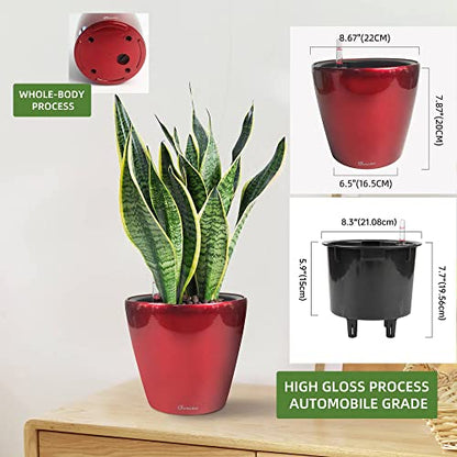 Dexceder 9x8 Self Watering Planter (Red High Gloss) - color: Red, size: 9x8