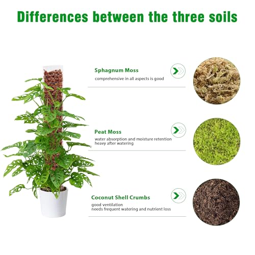 Bonviee 4-Pack 15-Inch Plastic Moss Poles for Monstera & Climbing Plants - Stackable to 60 Inches, Includes Sphagnum Moss & Garden Ties for Indoor Plant Support - size: 4 Packs+Moss