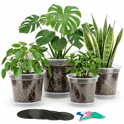 Zonara 5/6/7/8 Inch Clear Nursery Pots with Drainage 12 Pack