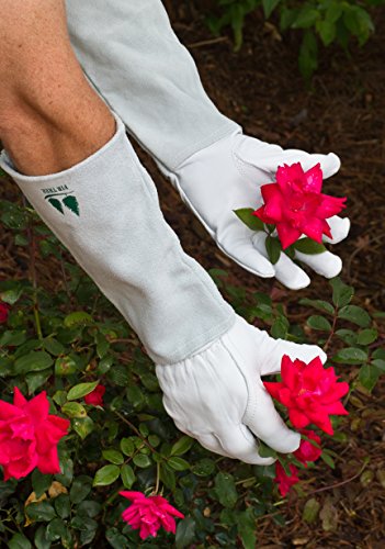 Leather Gardening Gloves by Fir Tree. Premium Goatskin Gloves With Cowhide Suede Gauntlet Sleeves. Perfect Rose Garden Gloves. XL - Men's and Women's Sizes. (See Size Chart Photo) - size: X-Large (Pack of 1)