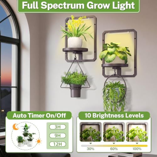iDavosic.ly Wall Plant Picture Frame Holder Set of 2 & 2 Grow Light, Bronze - color: Bronze with 2 Lights, size: Rectangular