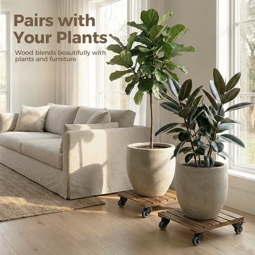 Bamworld Plant Caddy 14 Inch Heavy Duty Wood Dolly 2 Pack - size: 14inch-Square-2 pack
