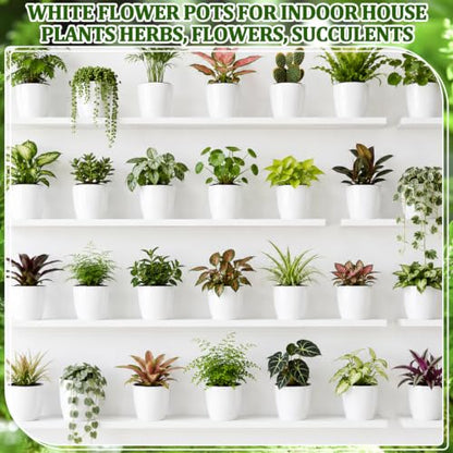 Self Watering Plant Pots, 3.5'', White Black, 18 Pcs - color: White Black, size: 3.5''