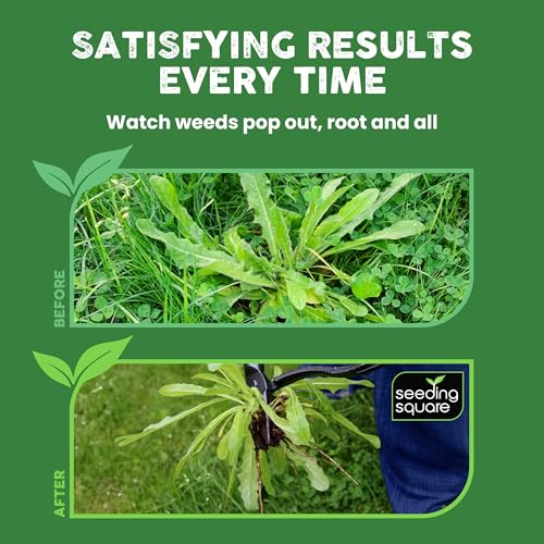 Stand-Up Weed Puller Tool with Long Handle for Dandelions and Garden Weeds.