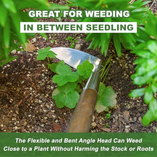 Haliaeetus Sickle Hoe, 58'' Long Handle Japanese Hand Hoe for Removing Weed - size: 58'' Sickle Hoe