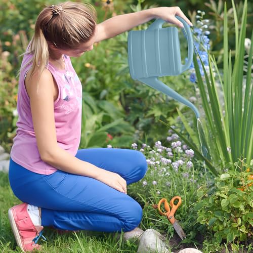 ZXJ Small Plant Watering Can - 1/3 Gallon - Grey - color: Gray