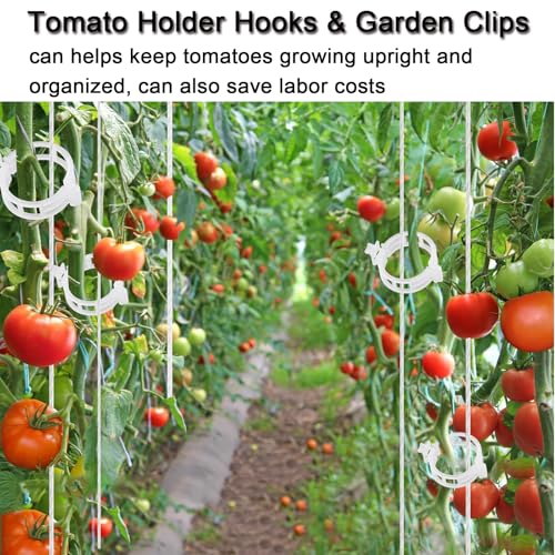 Tomato Support Hooks with String 20 Pcs,100 Pcs Plant Support Clips for Climbing Plants,Tomato Trellis Roller Hooks with 49.2FT String,Reusable Grape Vine Clips to Prevent Tomatoes - size: 20Pcs Tomato Rollerhook+100 Pcs Plastic Plant Clip