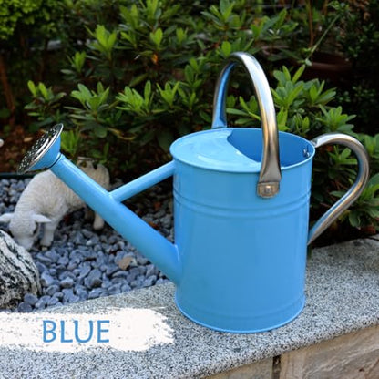 Metal Watering Can, 1 Gallon for Outdoor Garden Plants, Blue - color: Blue With Stainless Steel Handle