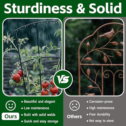 Thealyn 56" Tall Metal Plant Trellis for Climbing Plants, 8 Pack, Black - color: Black, size: 56 inch-8 Pack