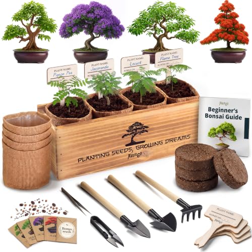 Bonsai Tree Kit Classic - Growing 4 Unique Japanese Bonzai Trees - size: Medium 12"