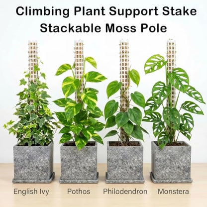 Stackable Small Moss Pole for Monstera Pothos, Fillable Support - size: 4pack,small,White