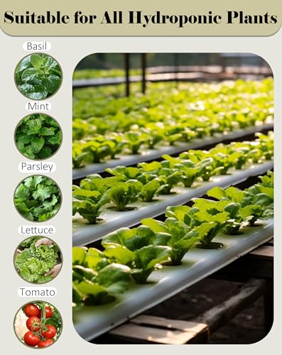 Natural Hydroponic Growing Kit for Soilless & Hydroponic Cultivation - Includes 252 Rockwool Cubes (1.2 in), 252 Hydroponic Net Pots (2 in), and 2 Planting Spoons
